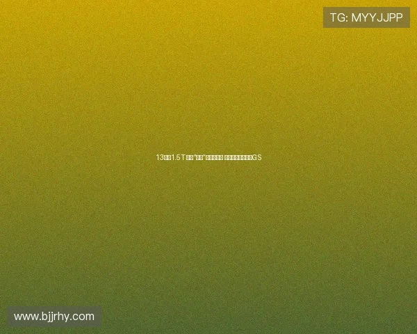 13万买1.5T 运动“骚年”没理由抗拒 轻体验吉利新帝豪GS